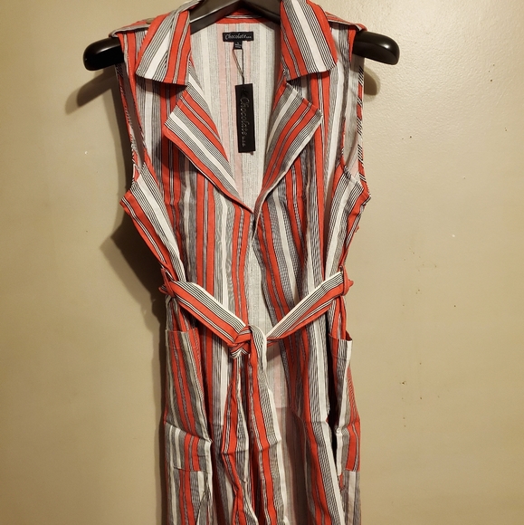 Nwt -Mauve or Beige Long Striped Vest with belt - Picture 12 of 12